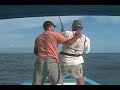 160 pound yellowfin tuna using (kite fishing) sistem 160 pound yellowfin tuna using (kite fishing) sistem