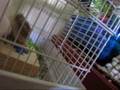 videos de Tube