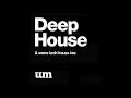 RicMansur - Deep House Mix