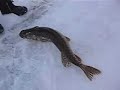 ice-fishing.html