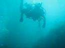 Scuba Diving at Catalina, boat dive Scuba Diving at Catalina, boat dive