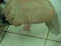 Celula Solar