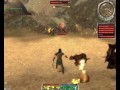 Guild Wars gameplay
