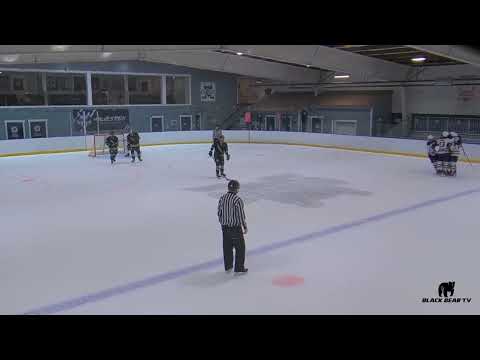 #96 Power play goal vs BHA