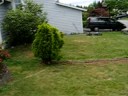 Hillbillie Gardening
