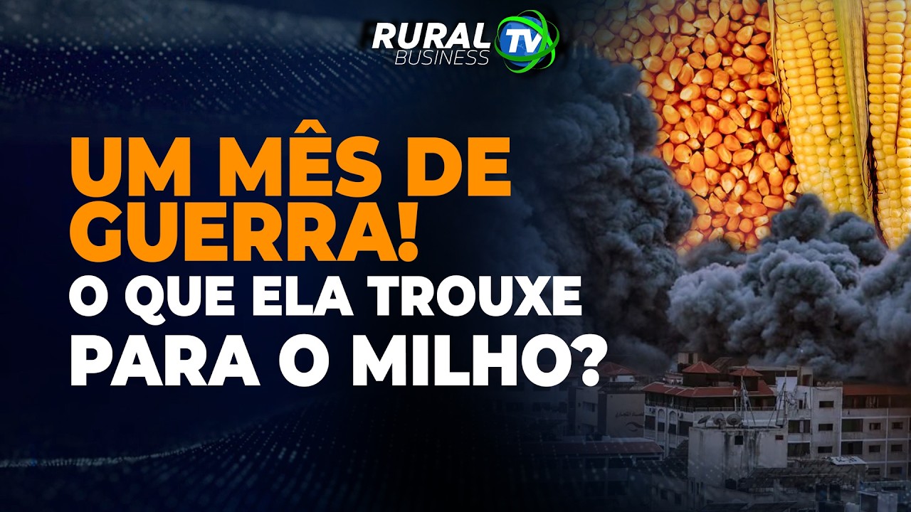 UM MÊS DE GUERRA! O QUE ELA TROUXE PARA O MILHO?