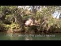 Takou River - Magic Cottage