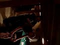 Kabouterpolonaise Kabouterpolonaise