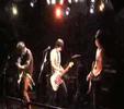 madcap death panda - no is there is