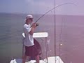 Light Tackle Shark Fishing