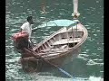 Koh Phi Phi Island