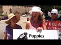 Almost Live at the Protest! June 29 2008