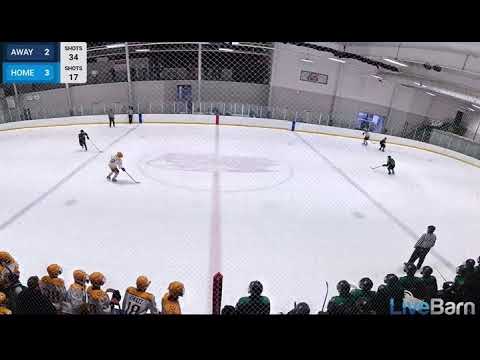 Game winning OT goal in 3 vs 3 in CCM World Invite