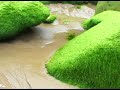 asturias