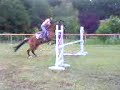 Playade et Virginie