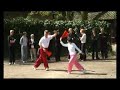 World Tai Chi Day 2008 - Belgium-Genk/Bokrijk - Fan demo 2