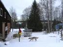 Vallning, f�rsta passet 25 jan 2008