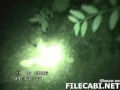 \"Fallen Angel\" caught in woods? \"Fallen Angel\" caught in woods?