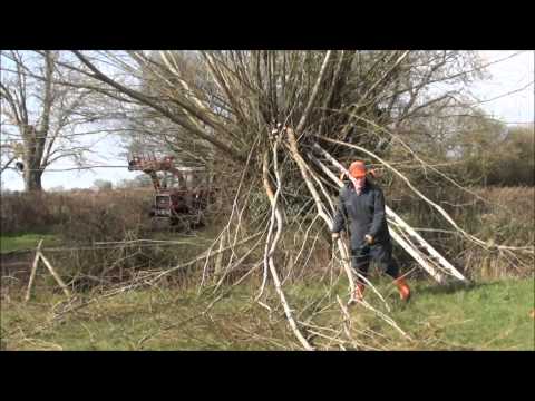 how to willow tree