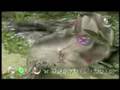 NEW Pikmin Remake Trailer