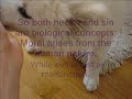 My concepts of sin and virtue