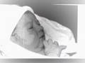 Return to Innocence Kayleigh's birth