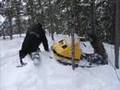 Skidoo elan Simon Laroche downhill Chicoutimi