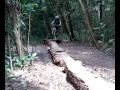 Tampines ride Tampines ride