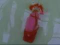 大関動画8