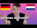 Download German Vs Dutch Which Is Easier Mp3 Song