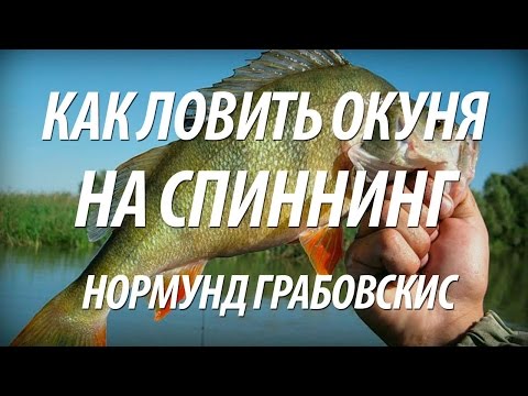 как ловить сайт как ловить сайт