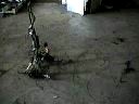 warehouse.mov