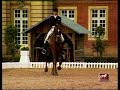 Dressage-J Bemelmans & Americo GermanNatChamp91 GP)