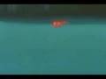 Naruto And Sasuke Fight To The End