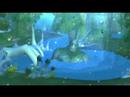 WoW: Wrath of the Lich King (Dragonblight)