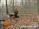 A Nice Walk In The Woods...JOKE!