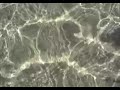 Water Rippling Stock Footage