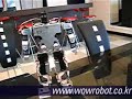 Mechanical Kung-Fu