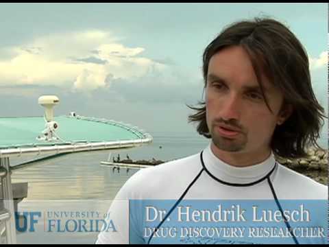 how to collect cyanobacteria