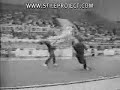 Wushu Fighting