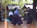 Tenshinsho Jigen Ryu Clips 2005