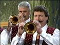 Robert Payer - Du bist die Schönste für mich Robert Payer - Du bist die Schönste für mich