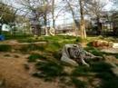 [bigcat.org] Watch Allie Kat get Rasul!