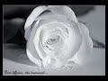 Das Gegenteil von Liebe! Das Gegenteil von Liebe!
