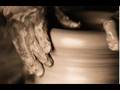 Vaso Novo - legendado View Video