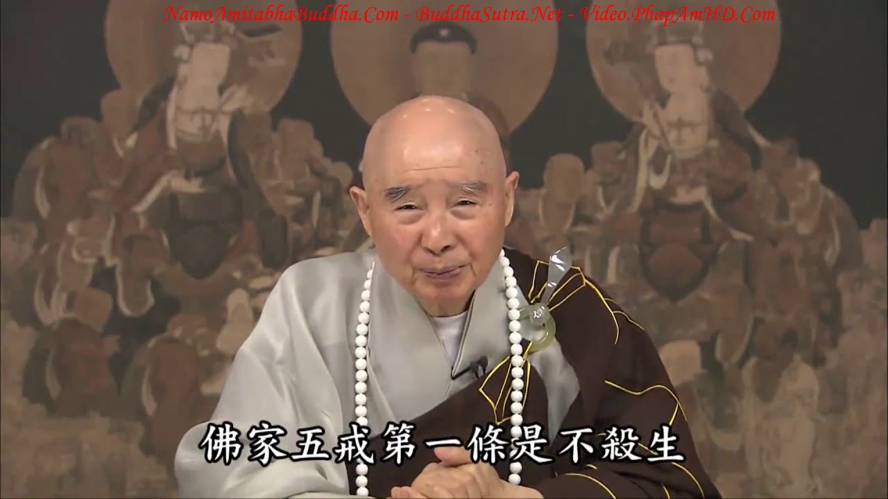 Tập 309 Ngài Pháp Tạng Thành Phật, Chính Là Phật A Di Đà, Tịnh Độ Đại Kinh Giải Diễn Nghĩa, Diệu Âm