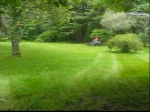 how to grow grass in nh