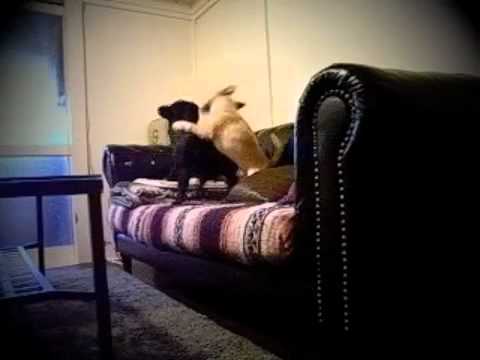 YouTube Preview Image