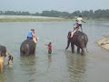 Adventurous Women  2009 - Bathing The Elephants at Chitwan National Park - Part 1