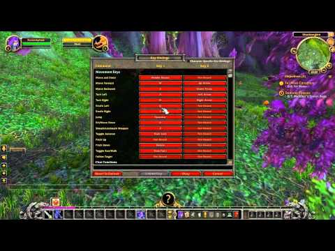 Night Elves